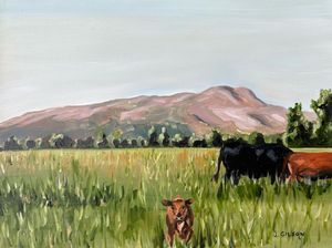 "3 Springs Utah Cows"