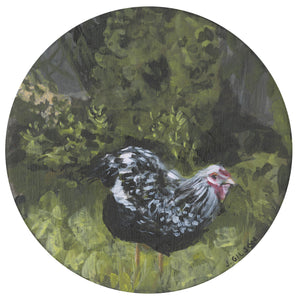 6" x 6" Acrylic on panel "Chicken Patterns"